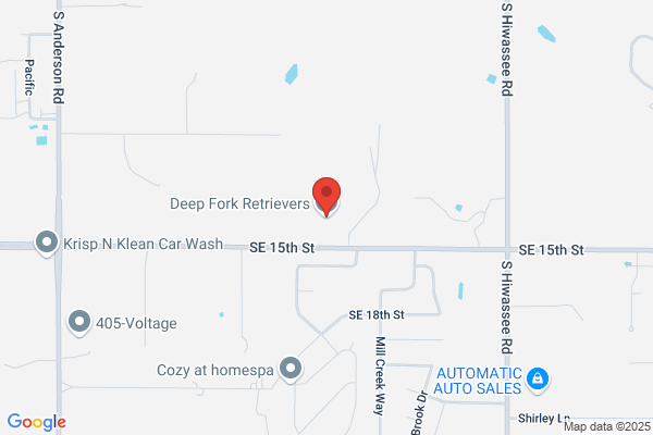 Deep Fork Retrievers Inc