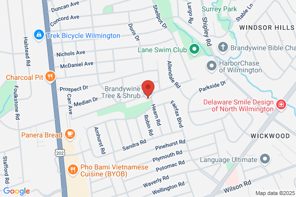 Discount Tree Service