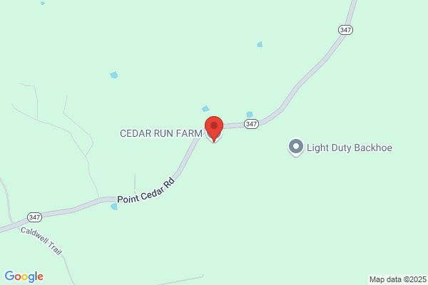 Cedar Run Equine