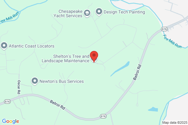 Shelton's Tree & Landscape Maintenance