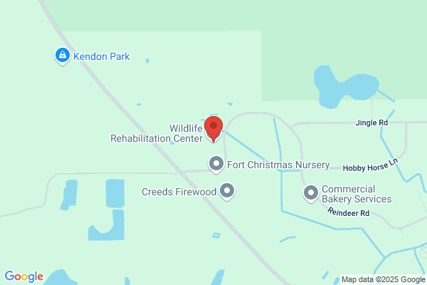 Wildlife Rehabilitation Center of Central Florida Inc