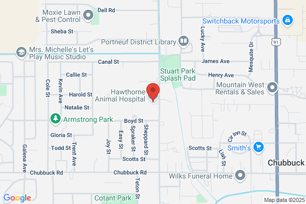 Hawthorne Animal Clinic