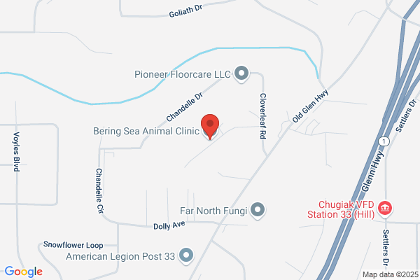 Bering Sea Animal Clinic