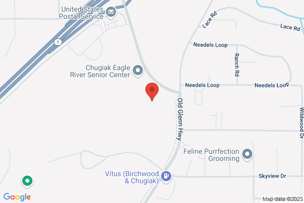 P & L Chugiak Home Care