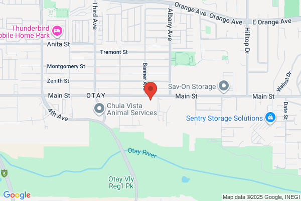 Cyber Professional Solutions Corporation