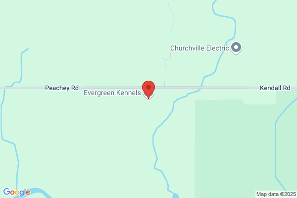 Evergreen Kennels
