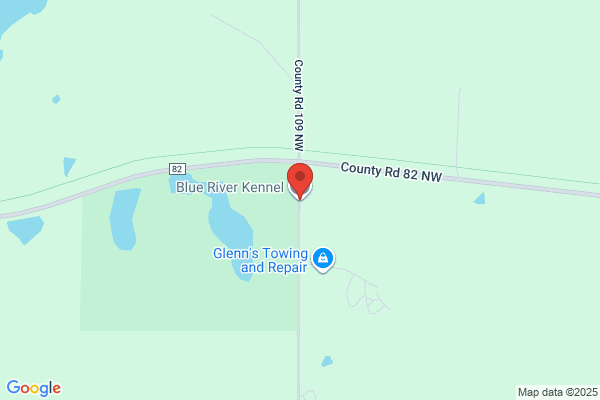 Blue River Kennels