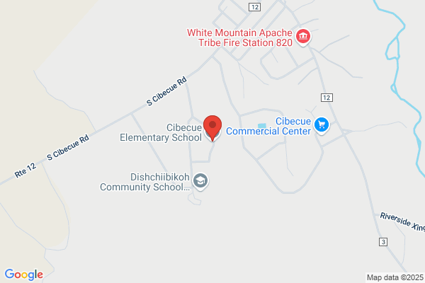 Cibecue, Cibecue Community School