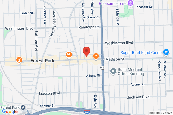 Forest Park Chiropractic Services