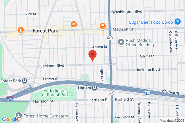 Forest Park Stucco