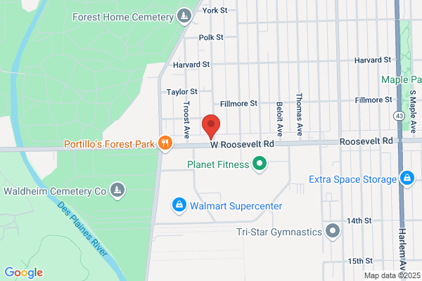Golden Steer