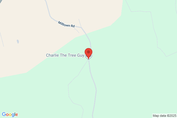 1-877 The Tree Guy