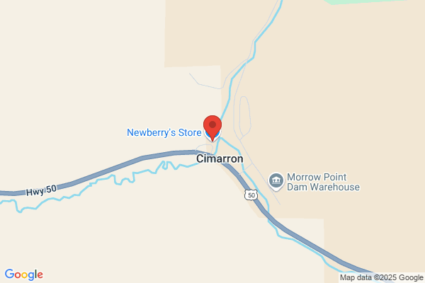 Newberry's Store