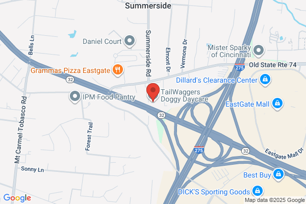 TailWaggers Doggy Daycare Cincinnati/ Eastgate