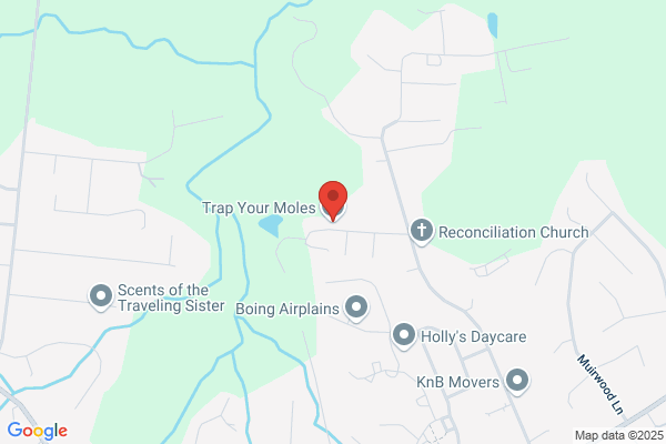 Trap Your Moles