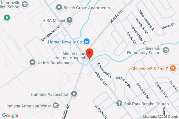 Allison Veterinary Hospital