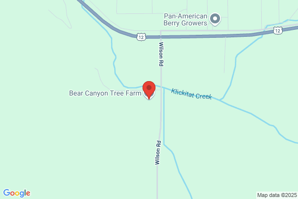 Bear Canyon Tree Farm
