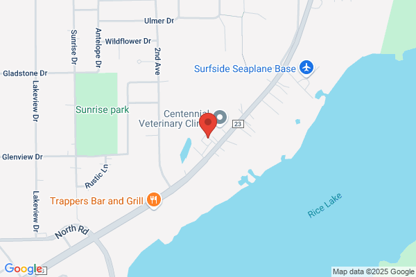 Gold Star Auto Body & Frame Inc