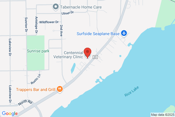 Centennial Veterinary Clinic