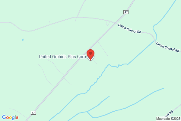 United Orchids Plus Corporation