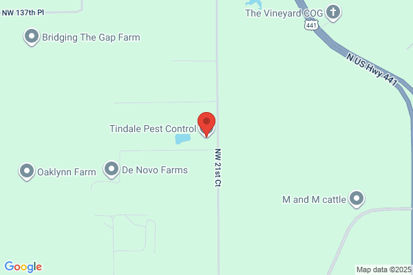 Tindale Pest Control