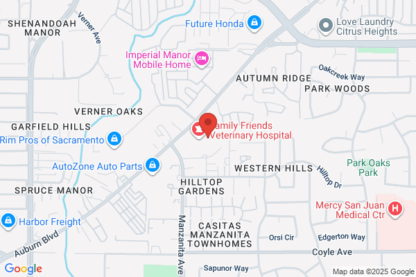 Citrus Heights Body Shop