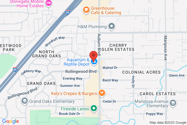 Dereks Auto Service