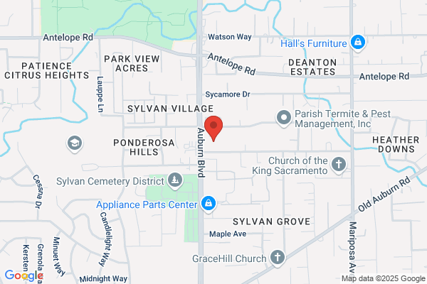 Pacific Ornamental Iron