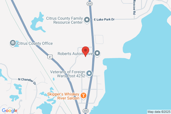 Professional Pest Control & Termite Service