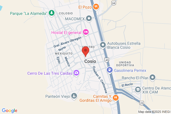 Cosio & Sons