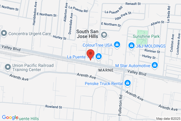 Master Ins Agency Inc