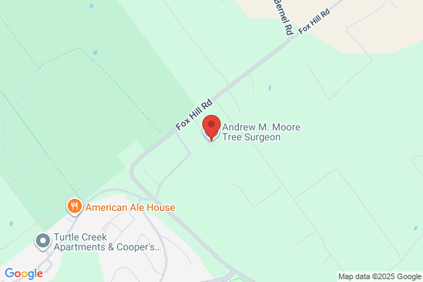 Andrew M. Moore Tree Surgeon LLC