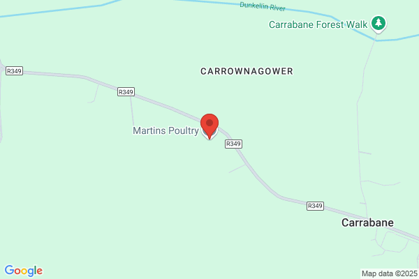 Martin's Poultry