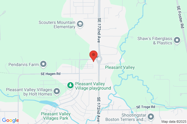 Scouter's Mountain
