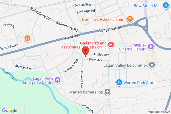 Handyman Robin