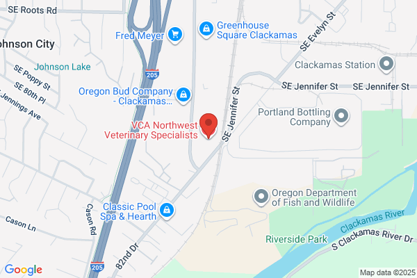 VCA Northwest Veterinary Specialists