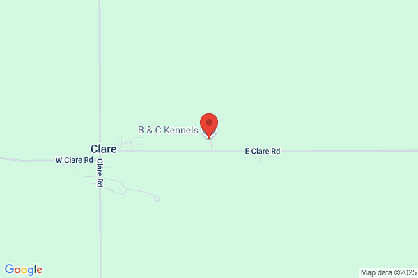 B & C Kennels