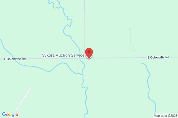 Sykora Auction Service Inc