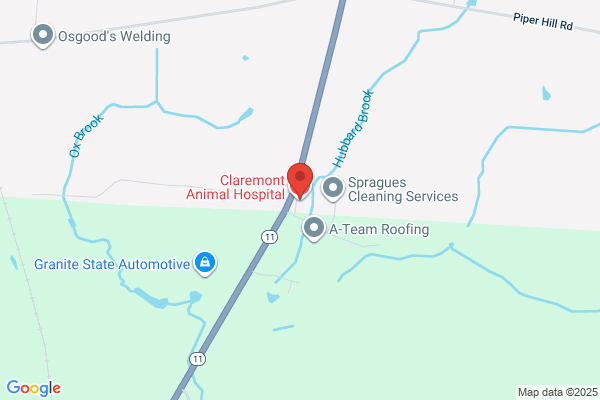 Claremont Animal Hospital Inc