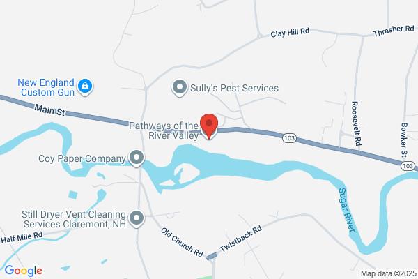 Developmental Services of Sullivan County