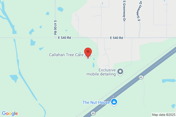 Callahan Tree Care