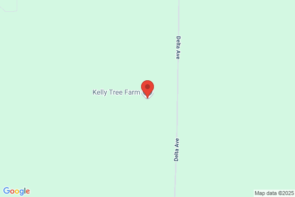 Kelly Kevin Tree Farm