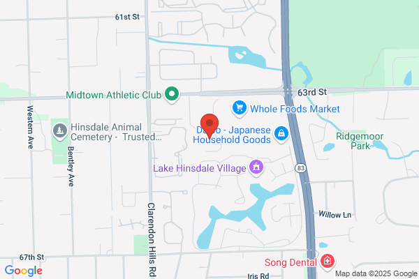 Lake Hinsdale Tower