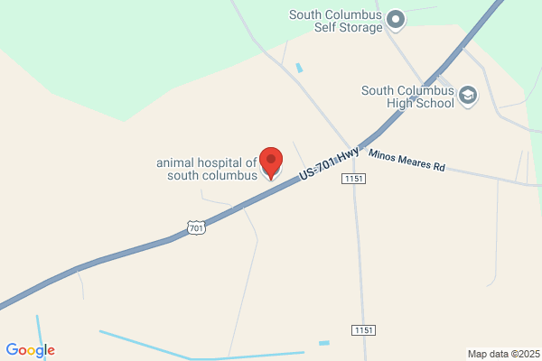 Animal Hospital of South Columbus