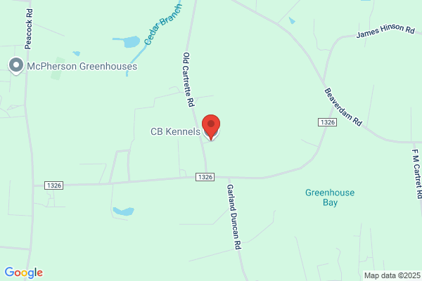 CB Kennels