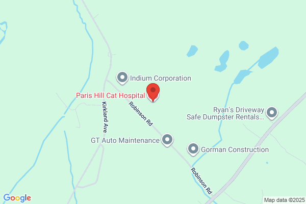 Paris Hill Cat Hospital
