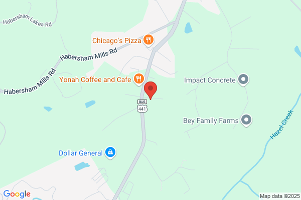 Demorest Dialysis Facility Llc