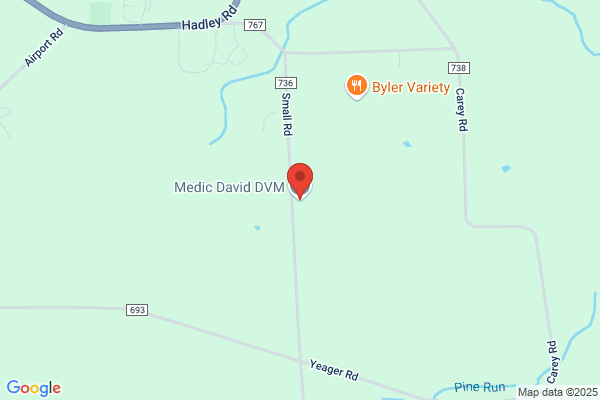 Medic David V Veterinarian