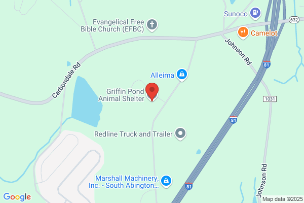 Animal Services, Humane Society of Lackawanna County