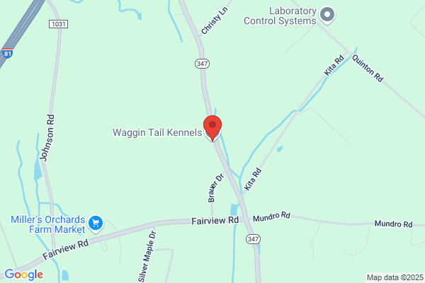 Waggin Tail Kennels